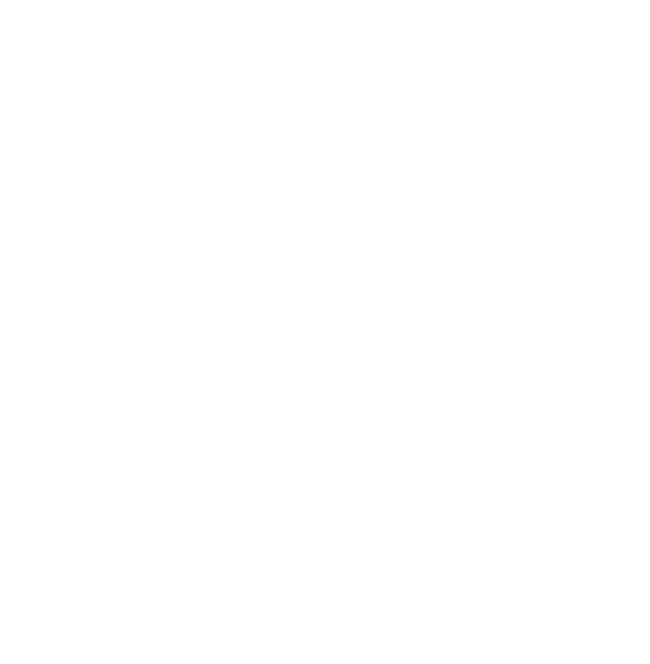 N-Smart Trader Logo